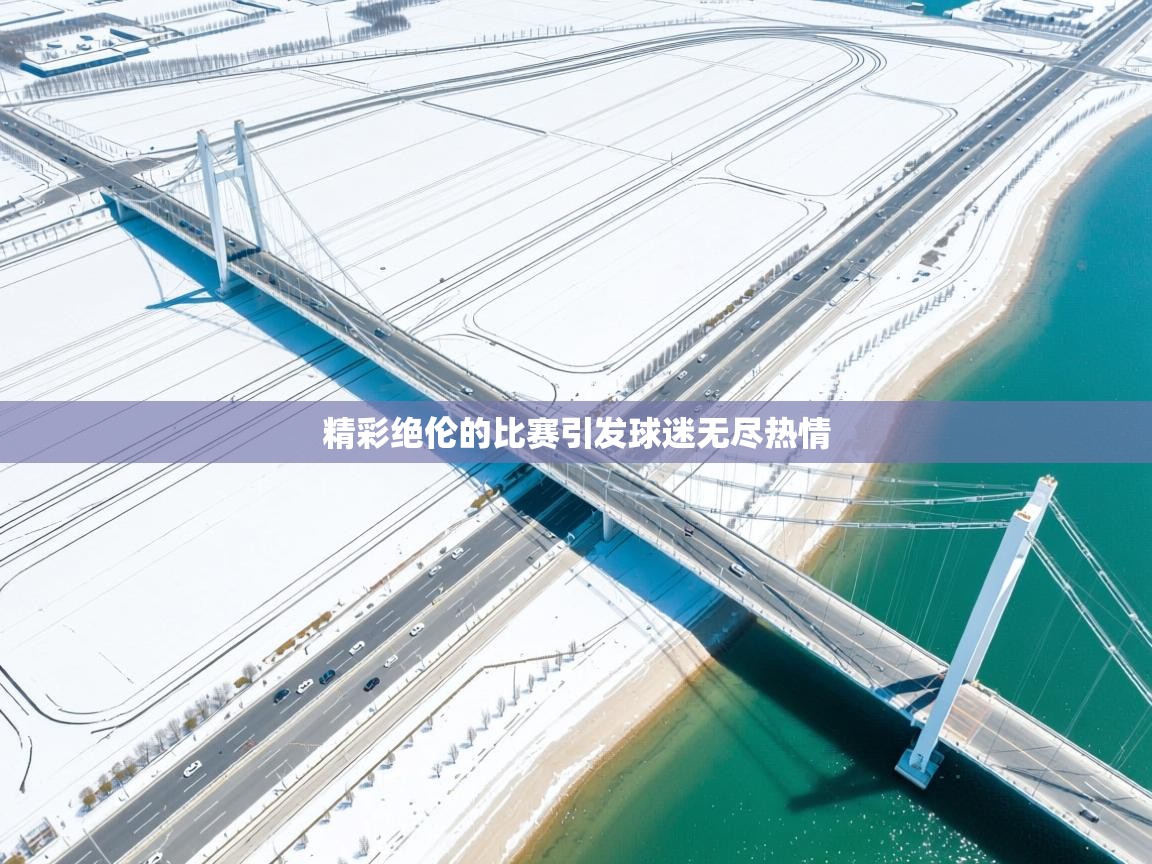 精彩绝伦的比赛引发球迷无尽热情  第1张