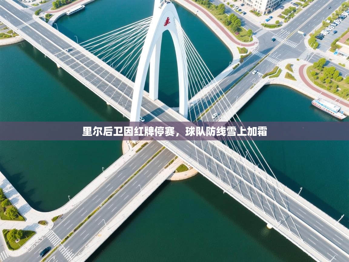 里尔后卫因红牌停赛,球队防线雪上加霜 第1张